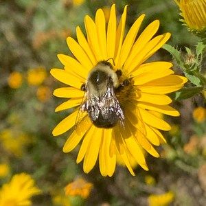 Meet your Posher, Maryanne